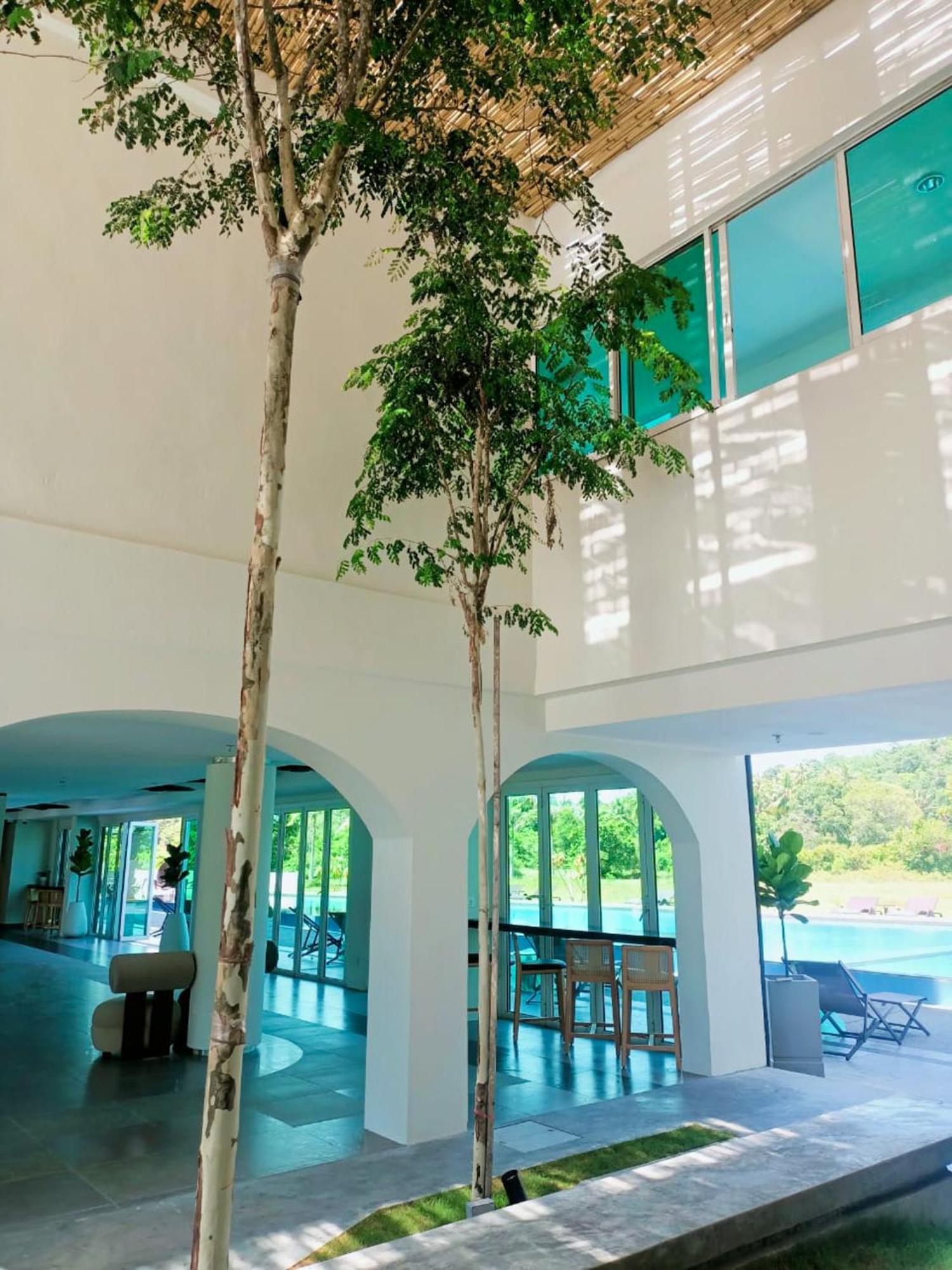 The Bayou Hotel Langkawi Pantai Cenang  Extérieur photo