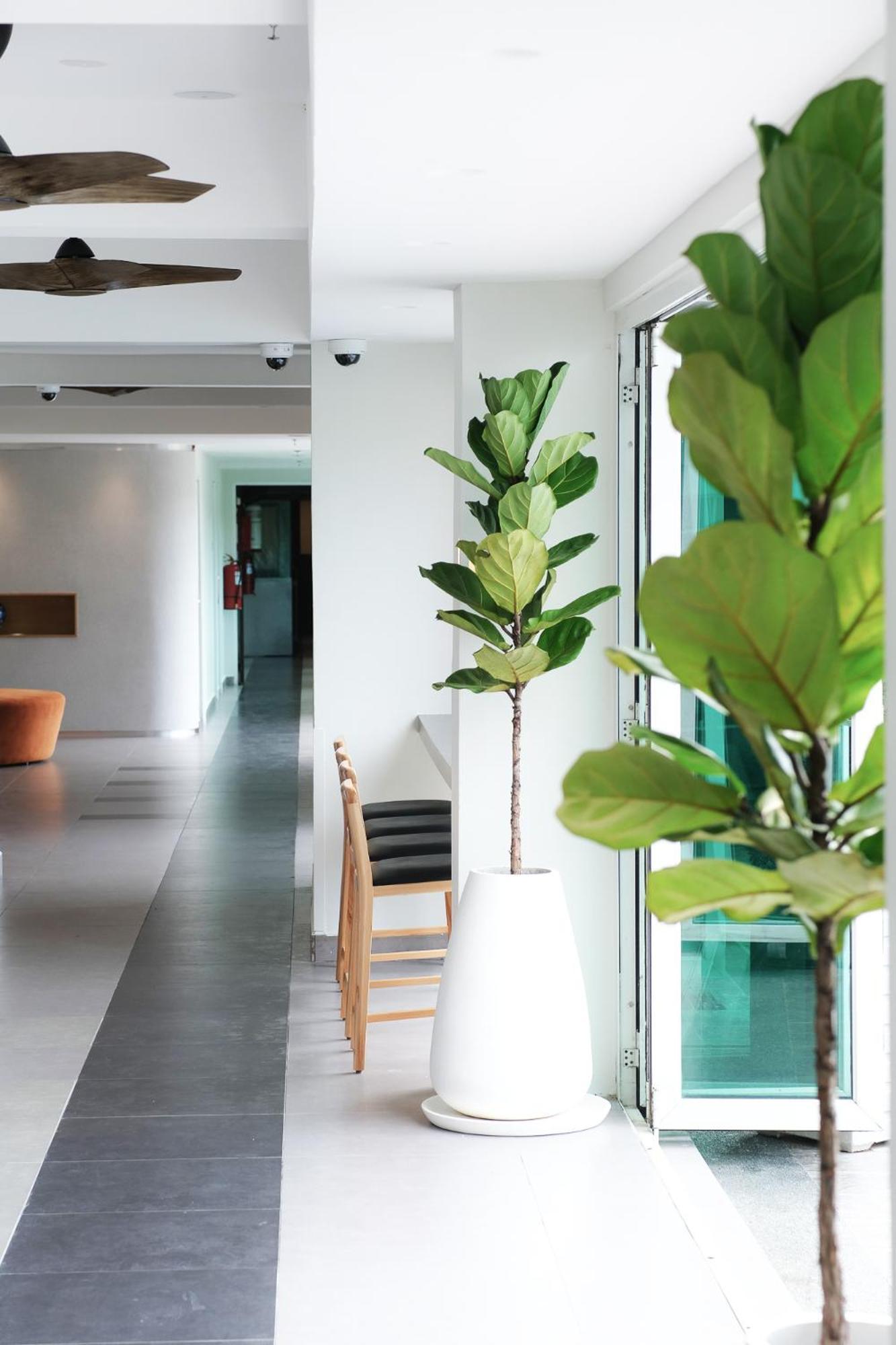 The Bayou Hotel Langkawi Pantai Cenang  Extérieur photo